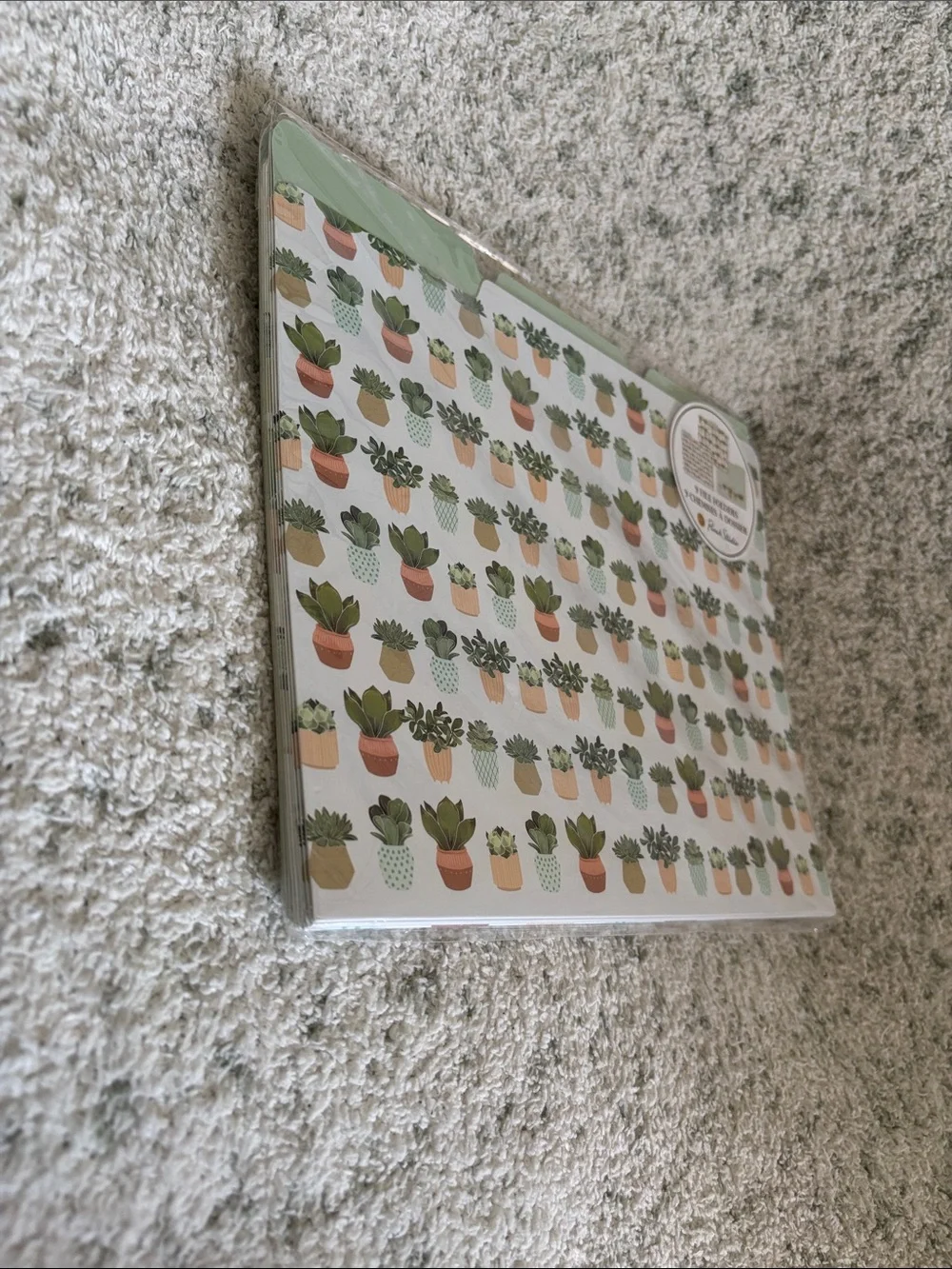 Punch Studio Designer Mint Green Succulent Cactus File Folders Set of 9 NWT